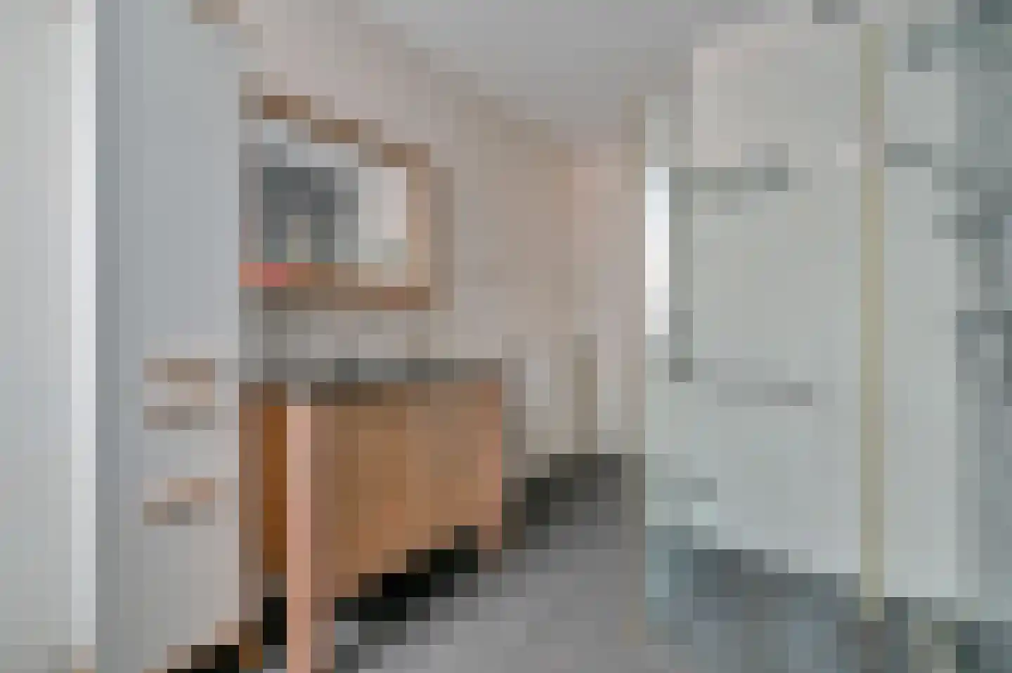 Gentiaan 9 Stroe thumbnail 28