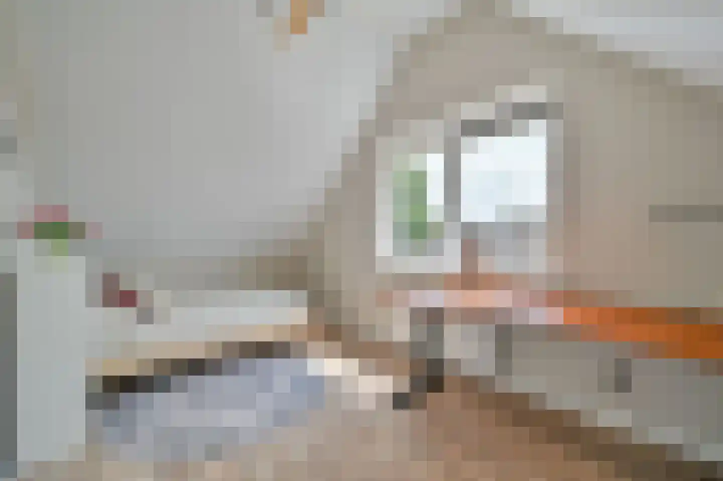 Gentiaan 9 Stroe thumbnail 33