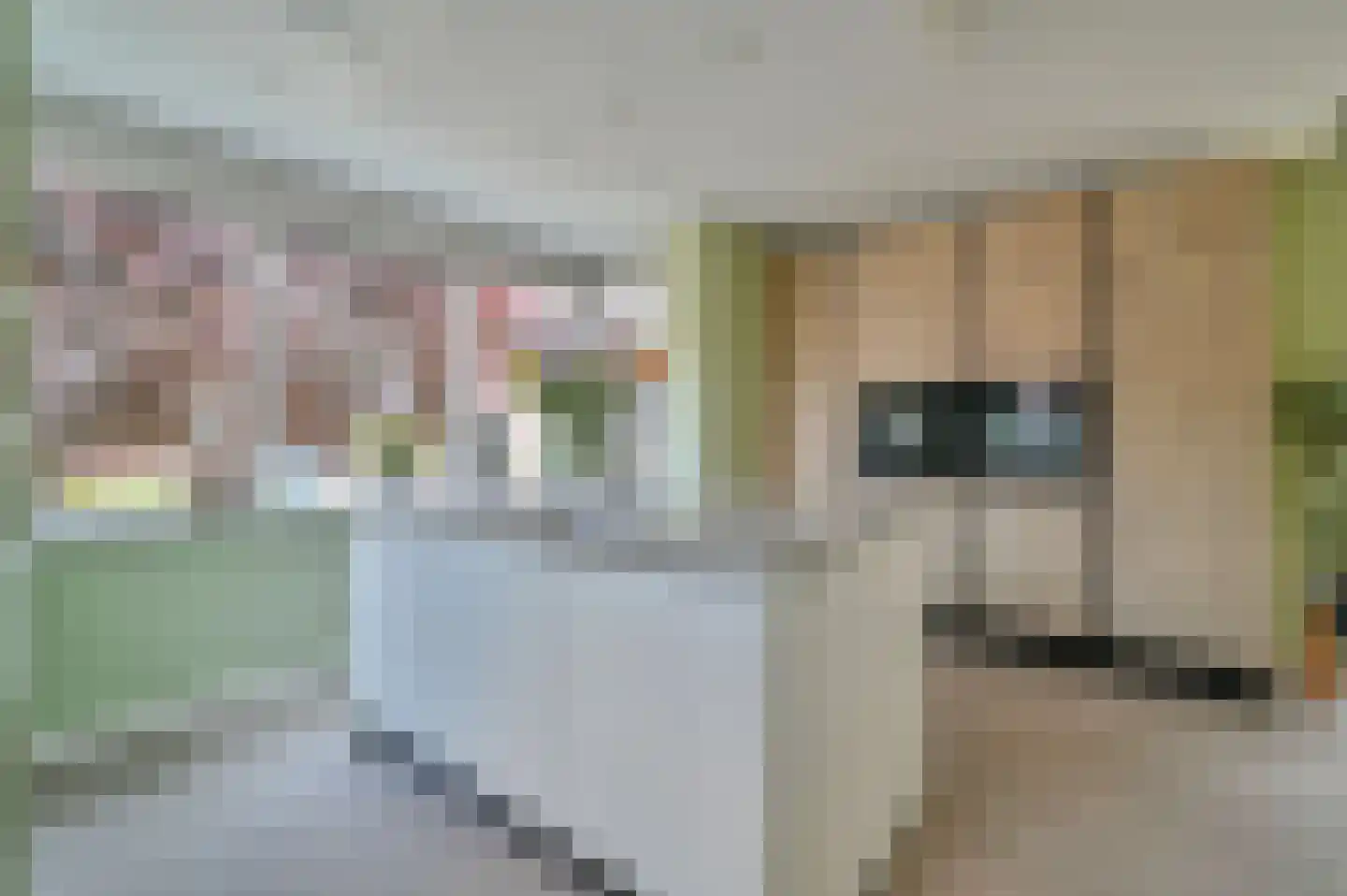 Gentiaan 9 Stroe thumbnail 4