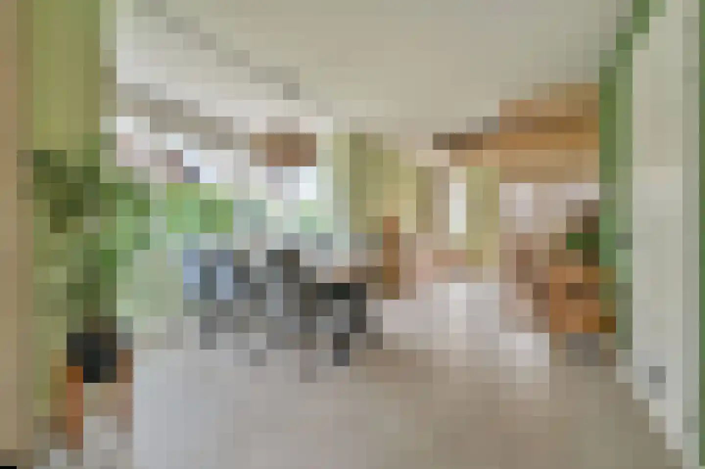 Gentiaan 9 Stroe thumbnail 5