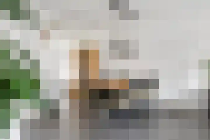 Gentiaanblauwtje 11 Tiel thumbnail 10