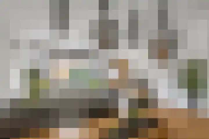 Gentiaanblauwtje 11 Tiel thumbnail 11