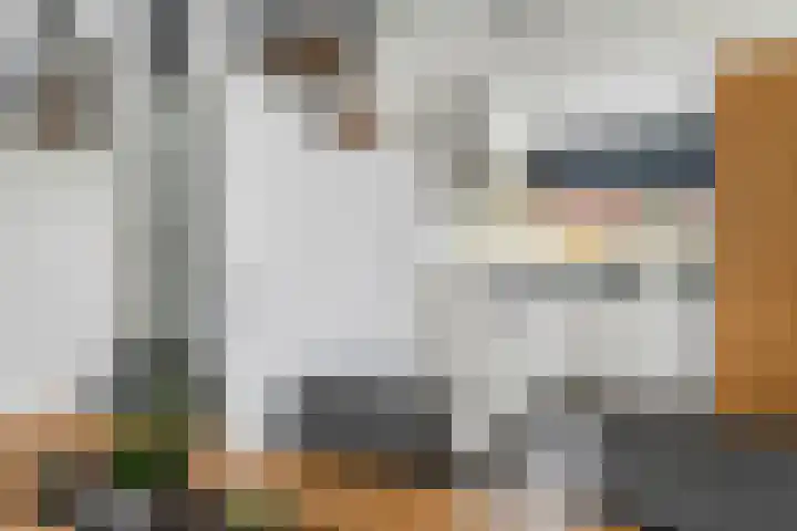 Gentiaanblauwtje 11 Tiel thumbnail 12