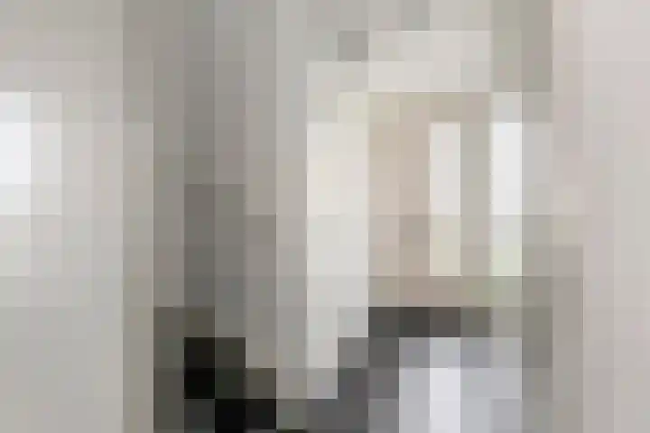 Gentiaanblauwtje 11 Tiel thumbnail 18