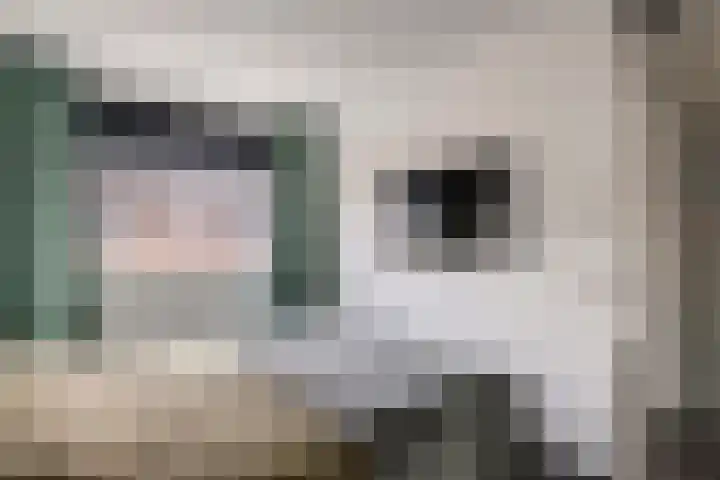 Gentiaanblauwtje 11 Tiel thumbnail 20