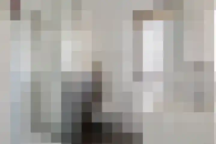 Gentiaanblauwtje 11 Tiel thumbnail 24