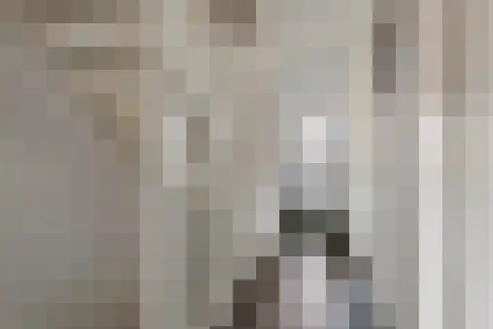 Gentiaanblauwtje 11 Tiel thumbnail 26