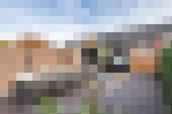Gentiaanblauwtje 11 Tiel thumbnail 30