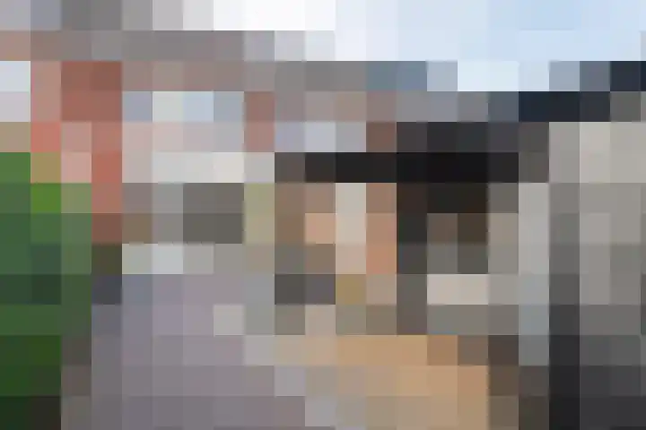 Gentiaanblauwtje 11 Tiel thumbnail 31