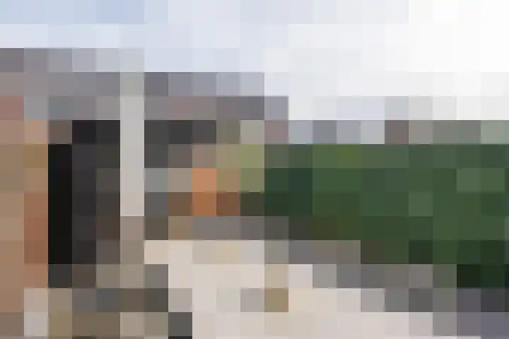 Gentiaanblauwtje 11 Tiel thumbnail 32