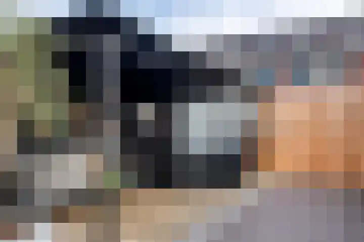 Gentiaanblauwtje 11 Tiel thumbnail 34