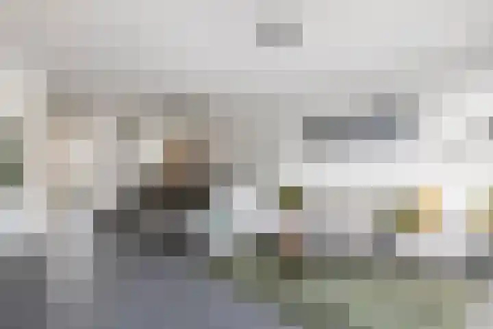 Gentiaanblauwtje 11 Tiel thumbnail 6