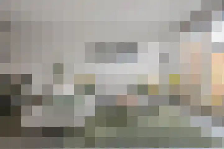 Gentiaanblauwtje 11 Tiel thumbnail 7