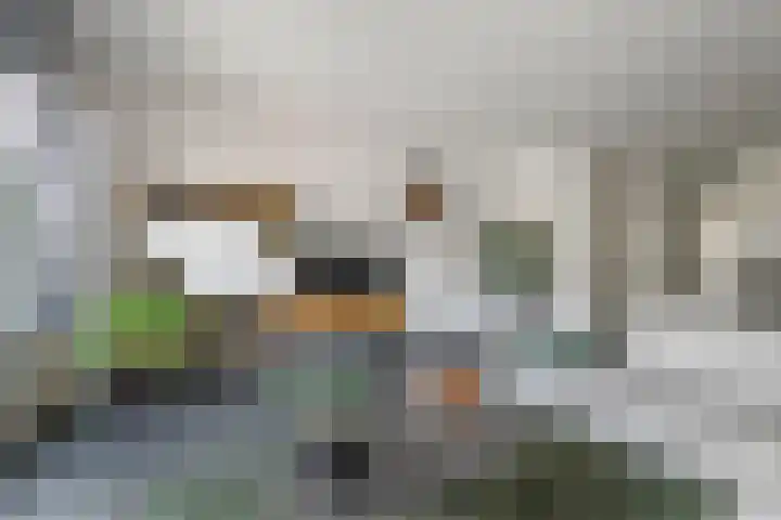 Gentiaanblauwtje 11 Tiel thumbnail 9