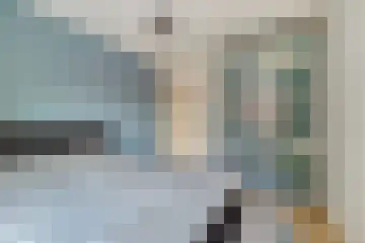 Gentiaanblauwtje 19 Breda thumbnail 16