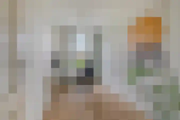 Gentiaanblauwtje 19 Breda thumbnail 17