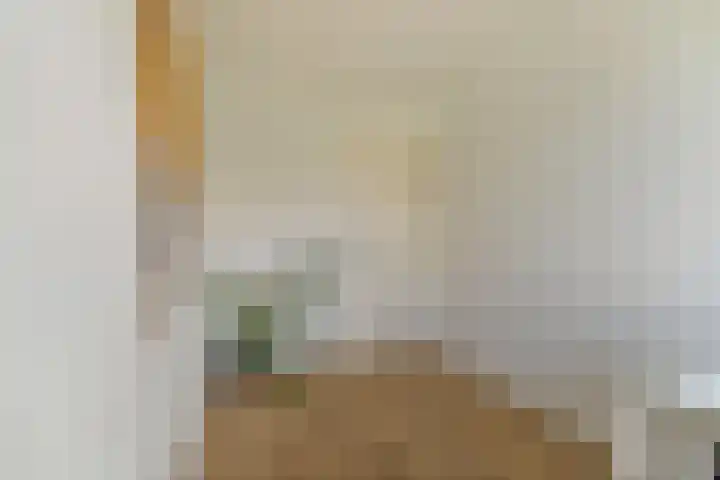 Gentiaanblauwtje 19 Breda thumbnail 18