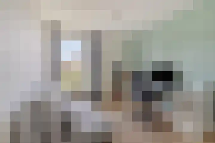 Gentiaanblauwtje 19 Breda thumbnail 19