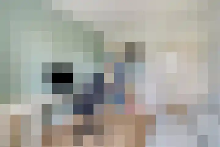 Gentiaanblauwtje 19 Breda thumbnail 20