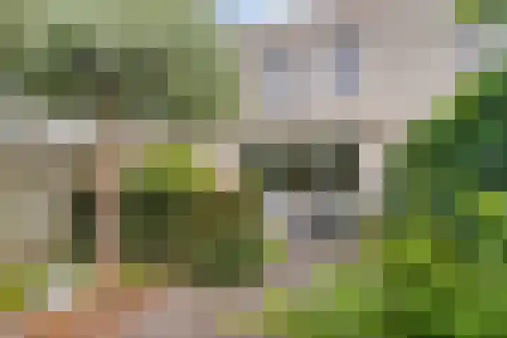 Gentiaanblauwtje 19 Breda thumbnail 21