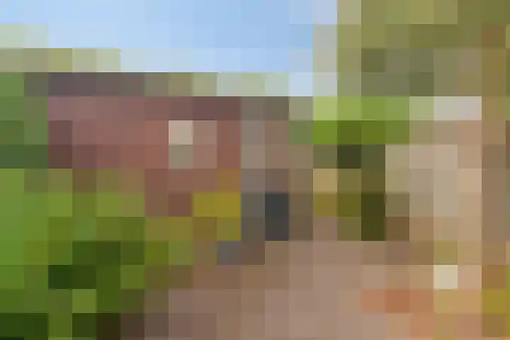 Gentiaanblauwtje 19 Breda thumbnail 22