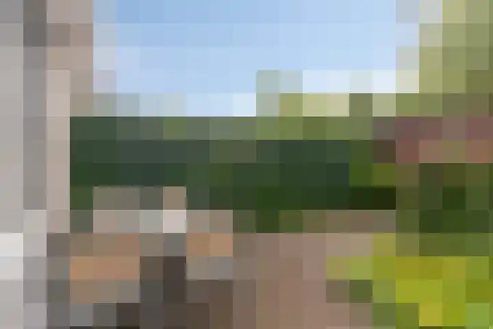 Gentiaanblauwtje 19 Breda thumbnail 23