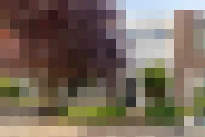Gentiaanblauwtje 19 Breda thumbnail 25