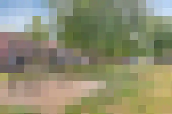 Gentiaanblauwtje 19 Breda thumbnail 26