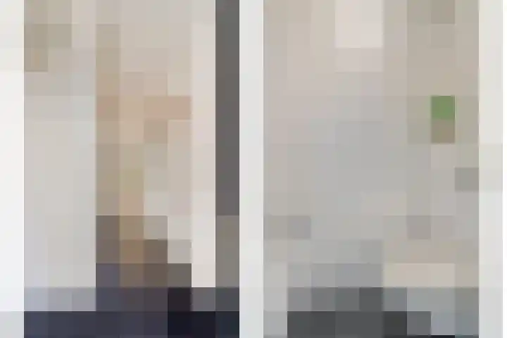 Gentiaanblauwtje 19 Breda thumbnail 4