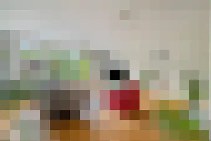 Gentiaanblauwtje 19 Breda thumbnail 7