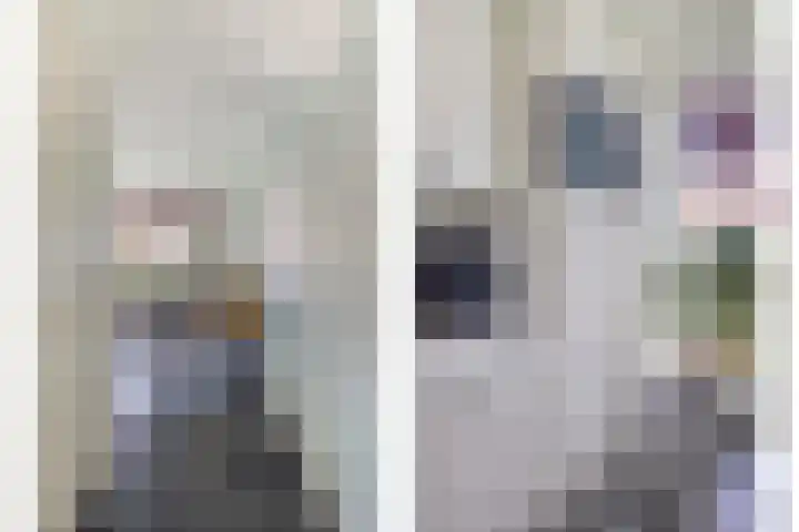 Gentiaanblauwtje 19 Breda thumbnail 9