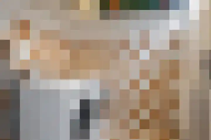 Gentiaanblauwtje 23 Breda thumbnail 13