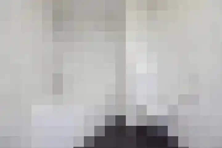 Gentiaanblauwtje 23 Breda thumbnail 15