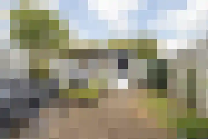 Gentiaanblauwtje 23 Breda thumbnail 18