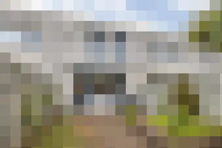 Gentiaanblauwtje 23 Breda thumbnail 19