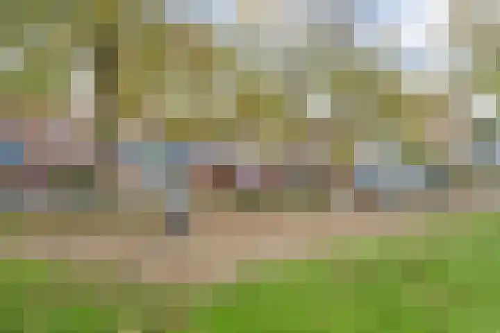Gentiaanblauwtje 23 Breda thumbnail 21