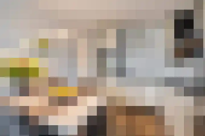Gentiaanblauwtje 23 Breda thumbnail 6