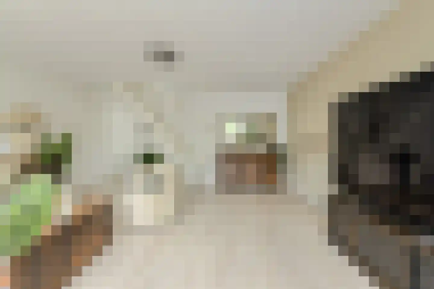 Gentiaanblauwtje 5 Breda thumbnail 11