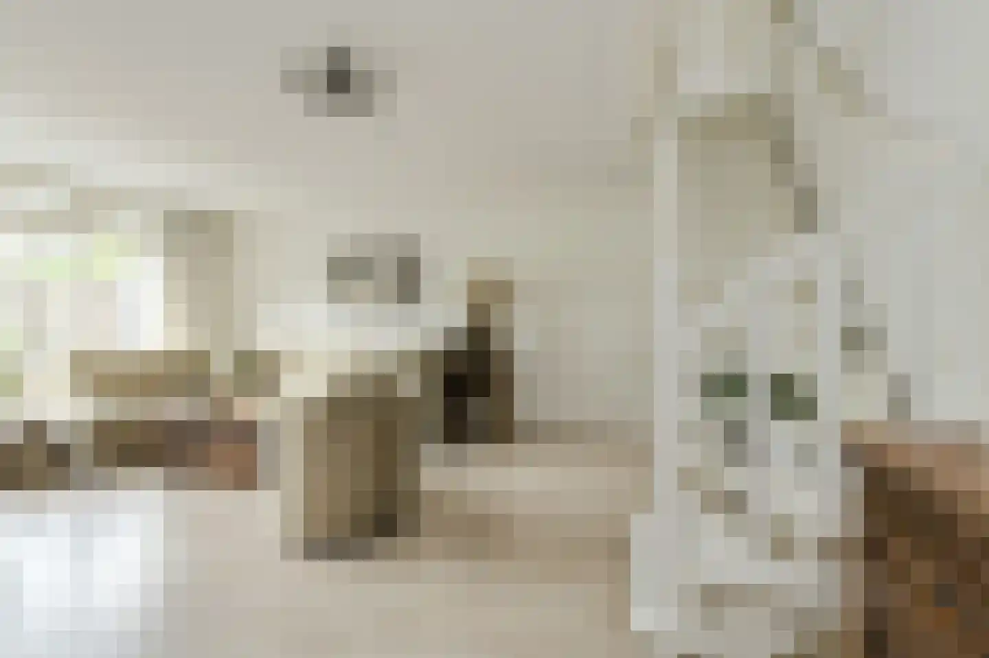 Gentiaanblauwtje 5 Breda thumbnail 12