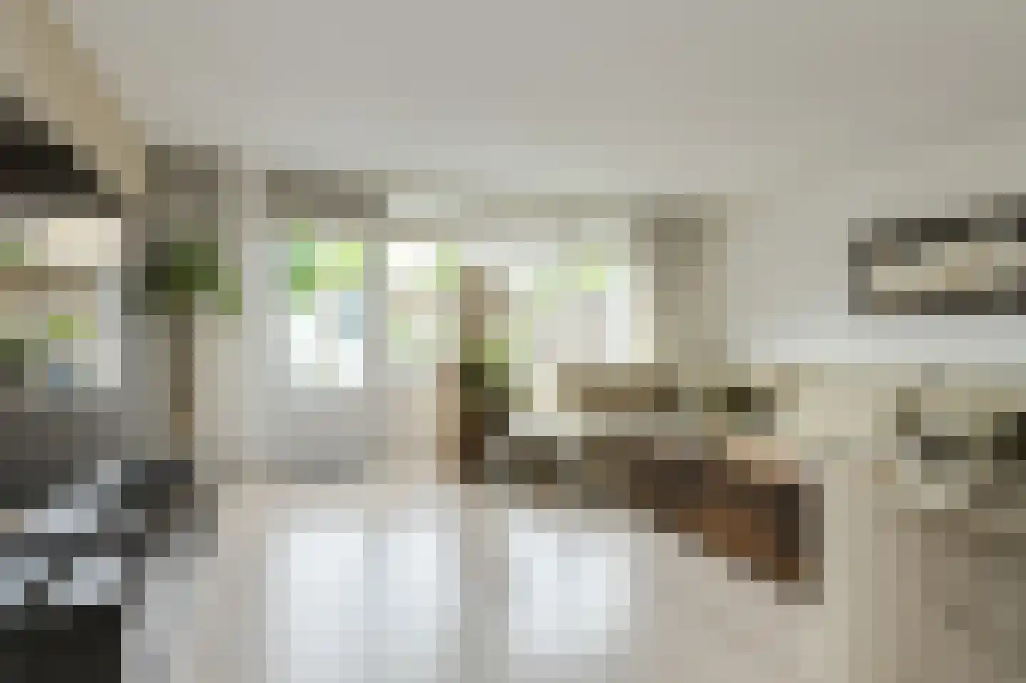 Gentiaanblauwtje 5 Breda thumbnail 13