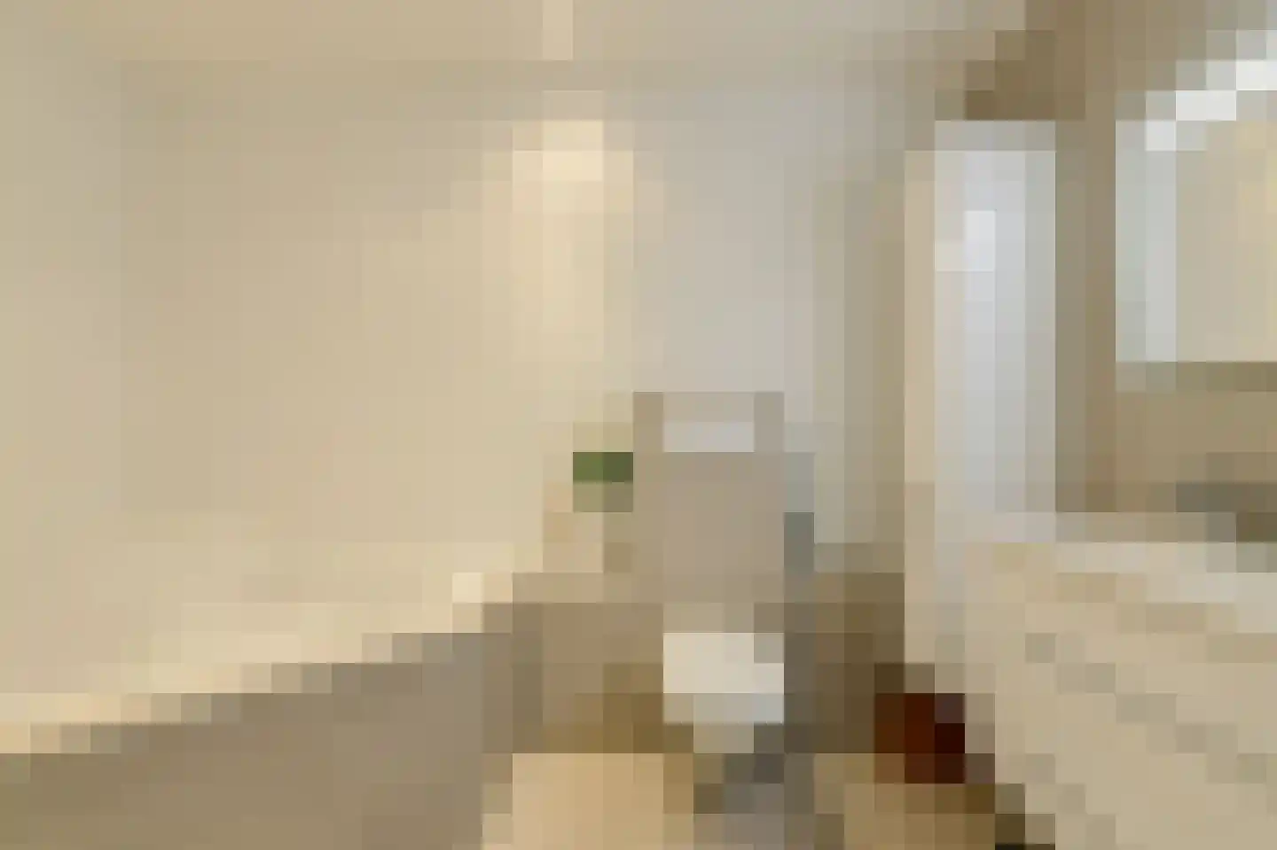Gentiaanblauwtje 5 Breda thumbnail 24