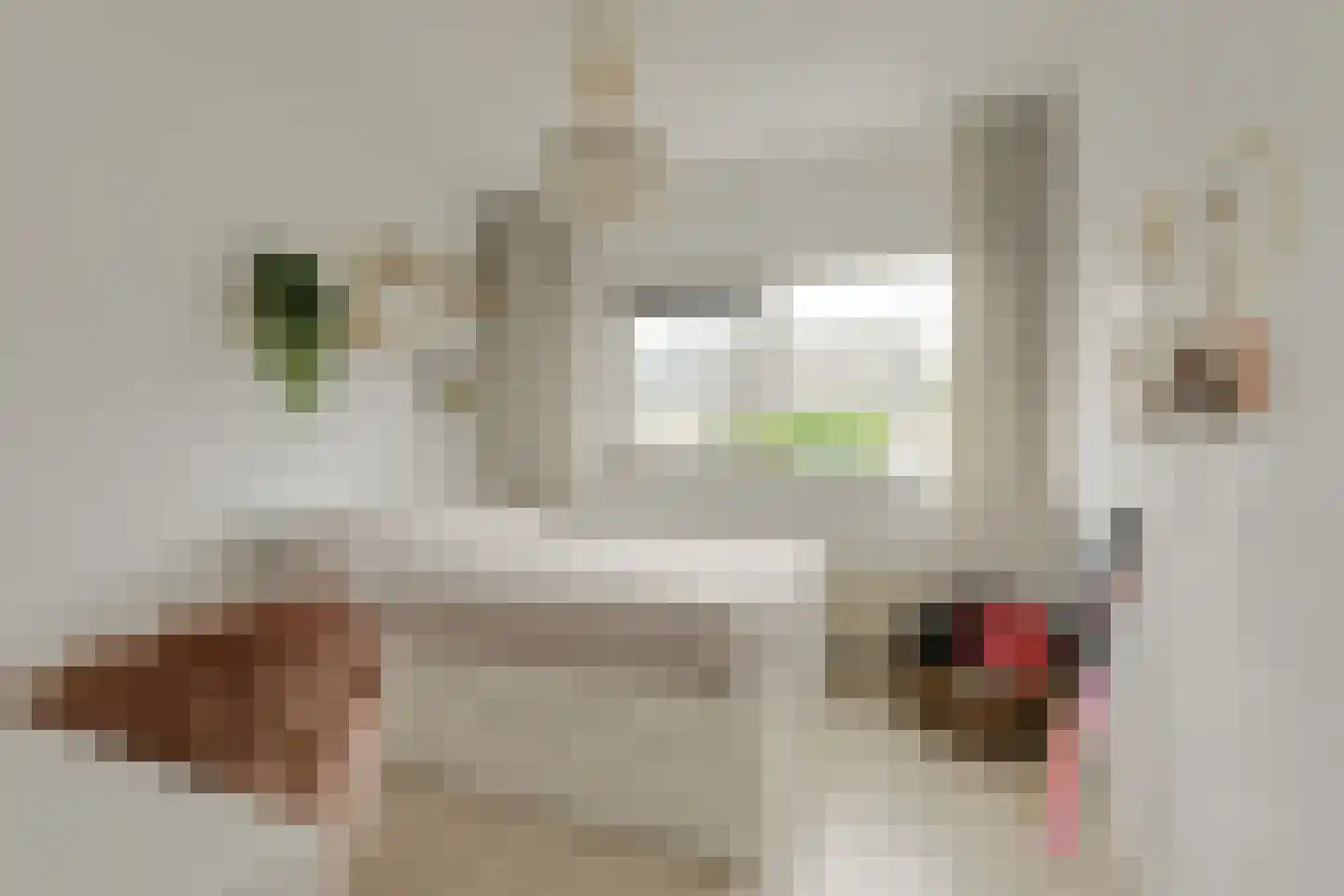 Gentiaanblauwtje 5 Breda thumbnail 27