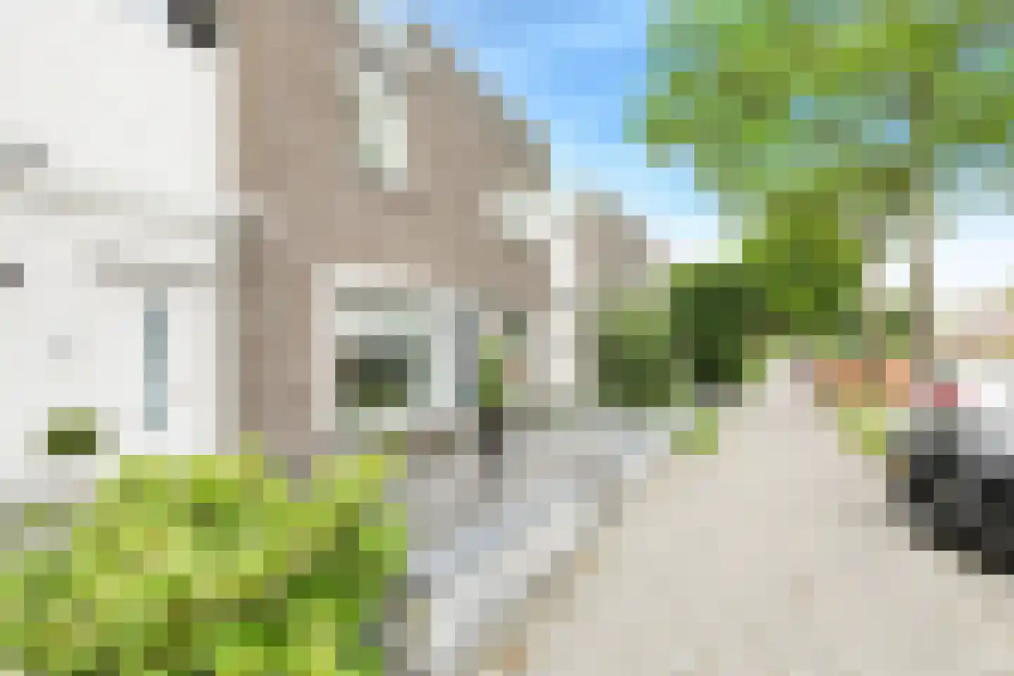Gentiaanblauwtje 5 Breda thumbnail 5