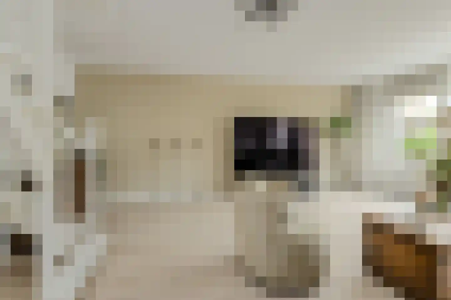 Gentiaanblauwtje 5 Breda thumbnail 6