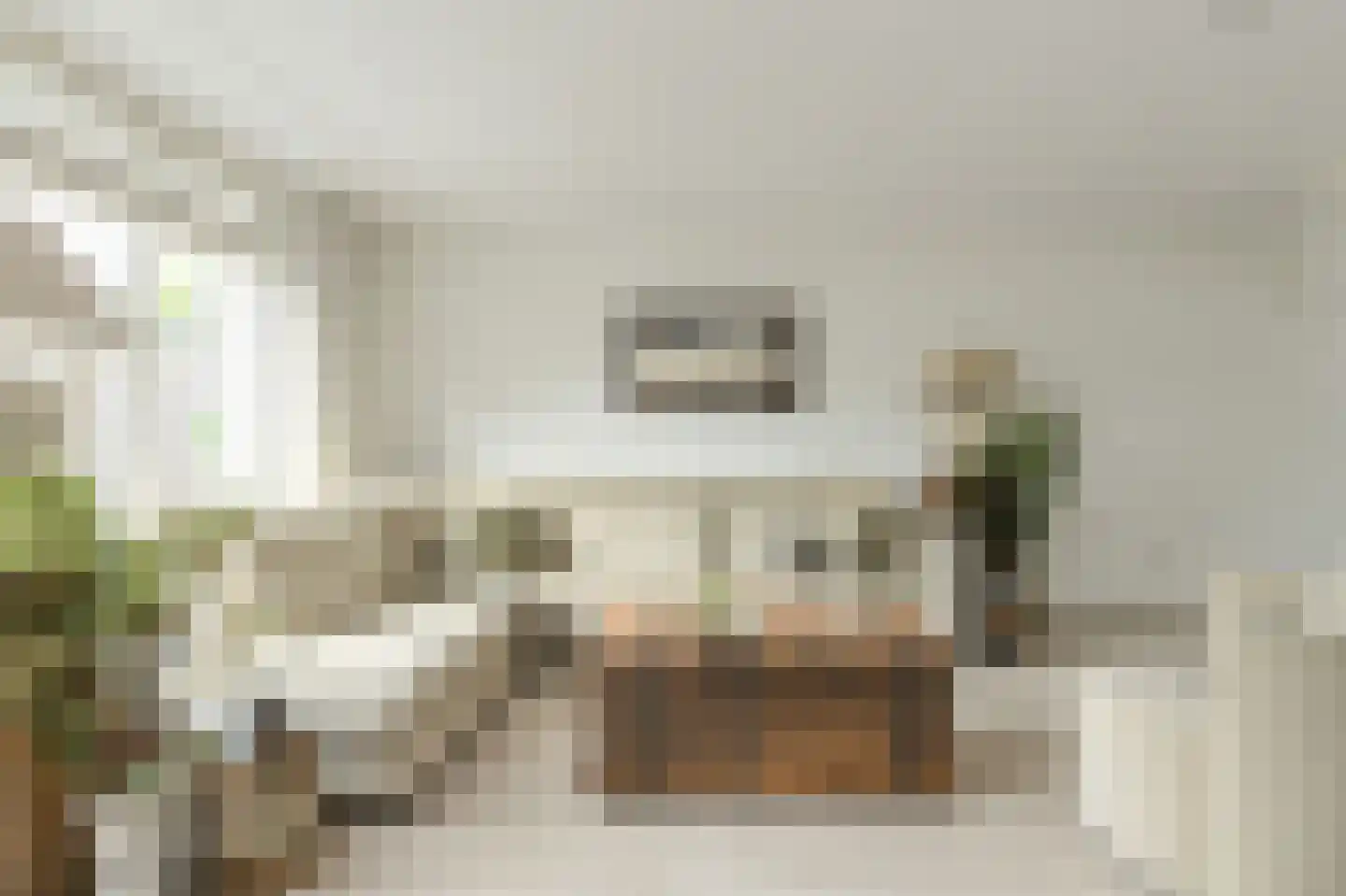 Gentiaanblauwtje 5 Breda thumbnail 7