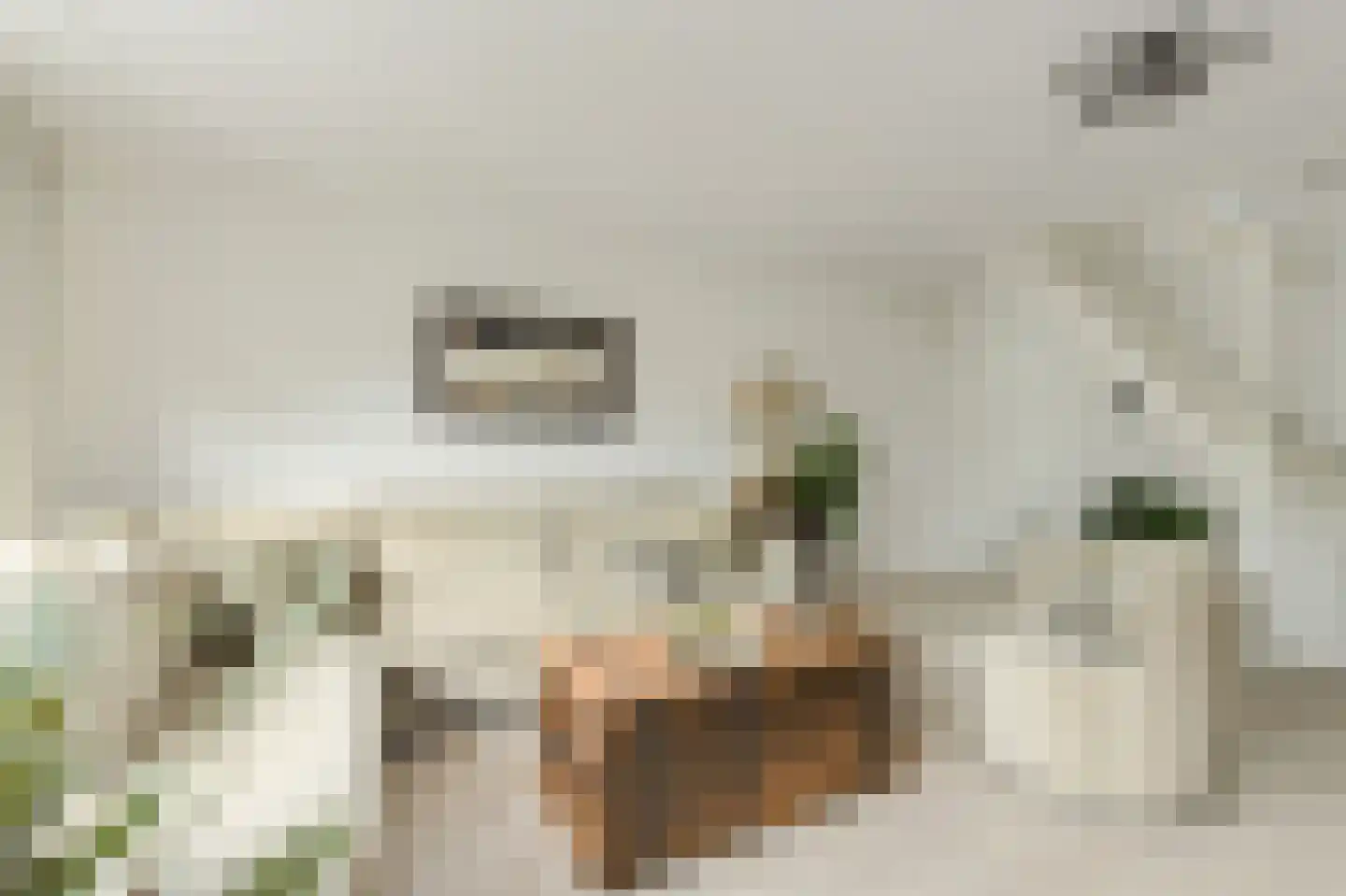 Gentiaanblauwtje 5 Breda thumbnail 8