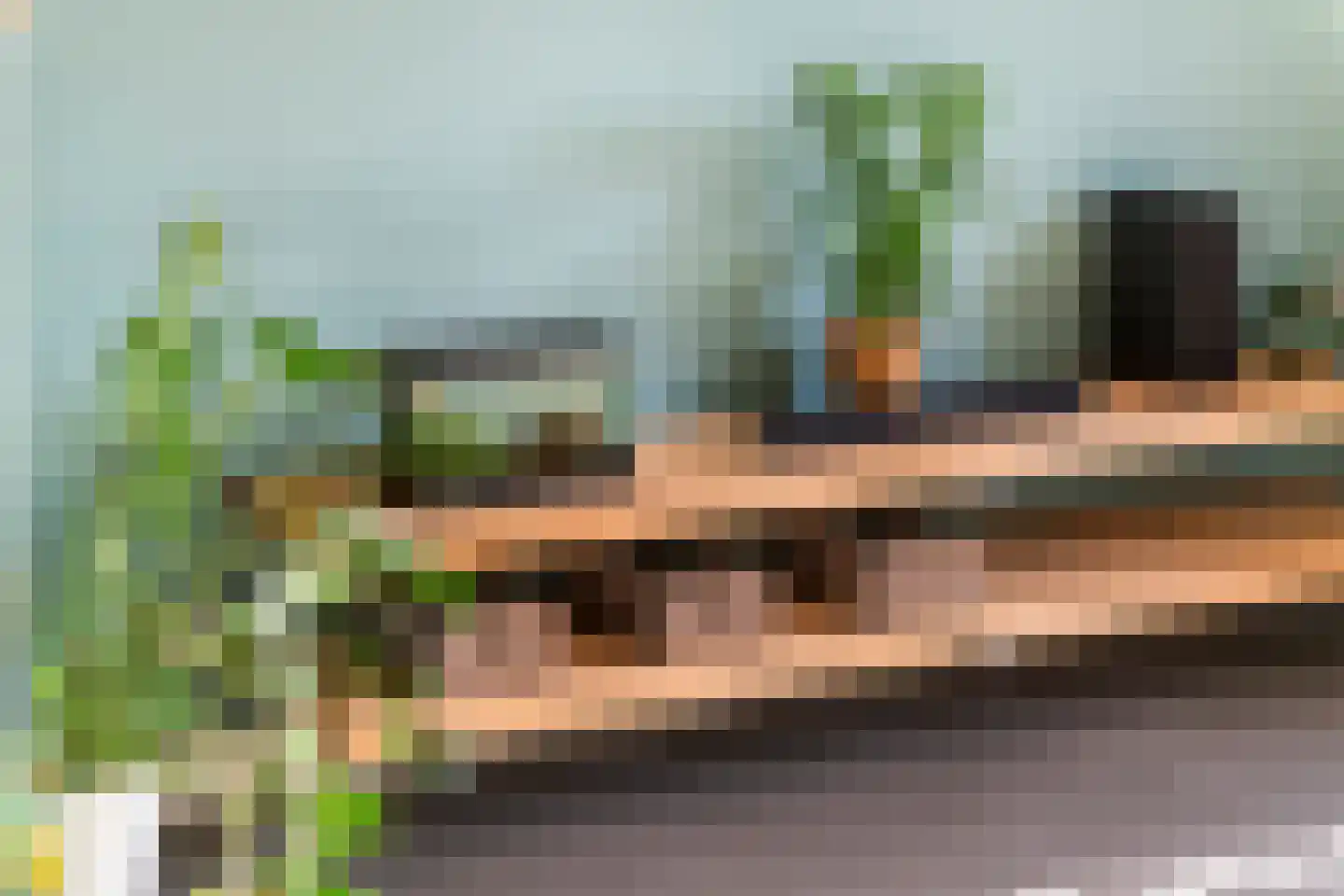 Gentiaanblauwtje 9 Tiel thumbnail 12