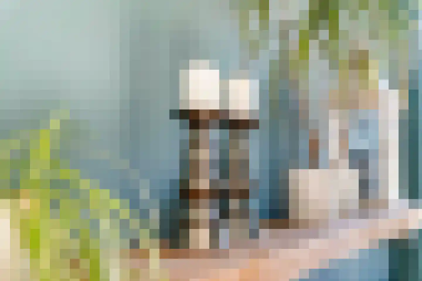 Gentiaanblauwtje 9 Tiel thumbnail 13