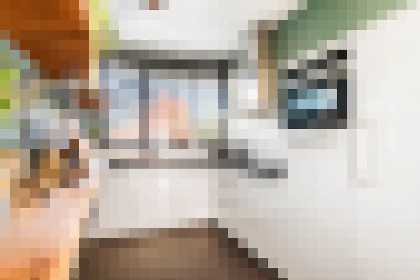 Gentiaanblauwtje 9 Tiel thumbnail 16