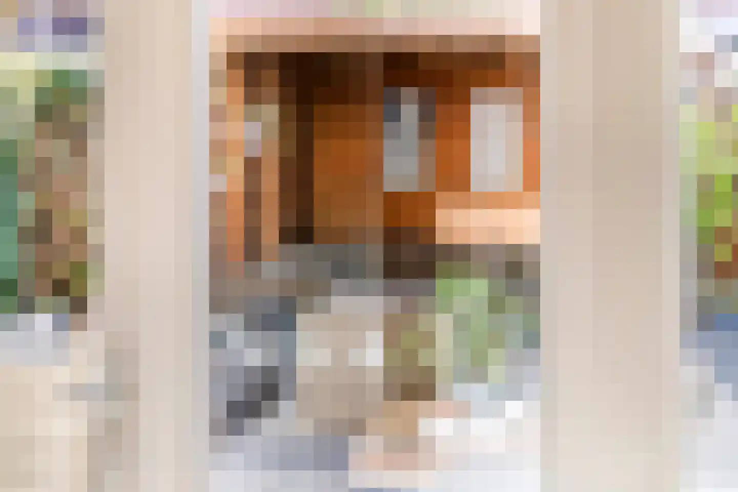 Gentiaanblauwtje 9 Tiel thumbnail 18